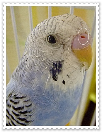 DSCF5317