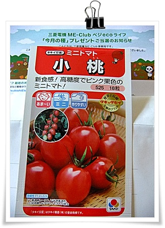 トマト種