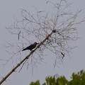 File_134