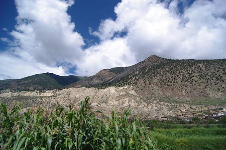 IMGP8631