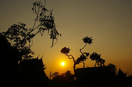 IMGP0529