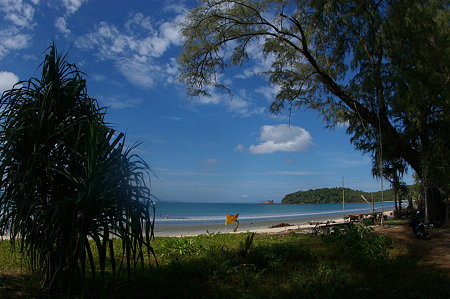 IMGP3726