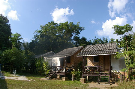 IMGP5868