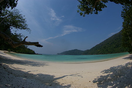 IMGP6836