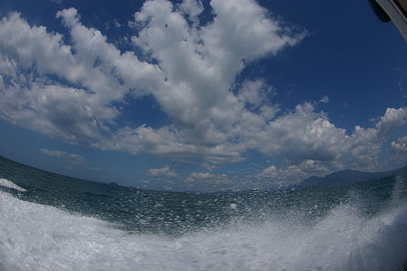 IMGP7495