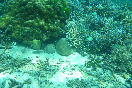 P1020764