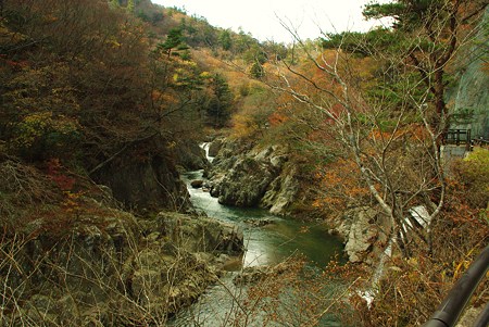 IMGP2382