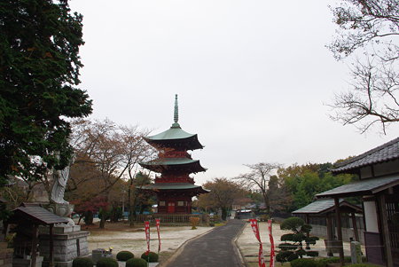 IMGP3045
