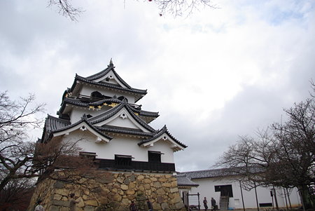 IMGP4677