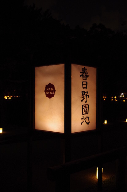 奈良燈花会2014（春日野園地）
