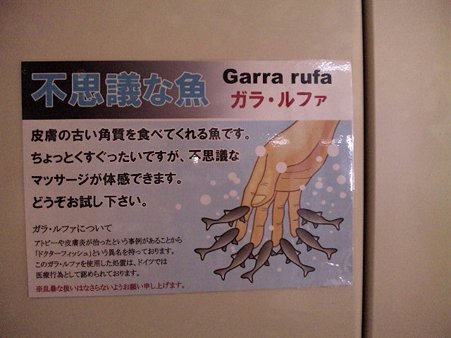 ガラ:ルファ