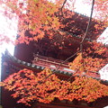 太山寺の秋