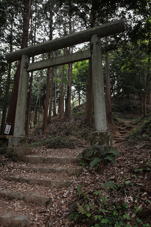 X70_-八王子城_04_鳥居-0552