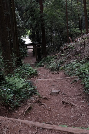 X70_八王子城_33_戻ってきた-0635