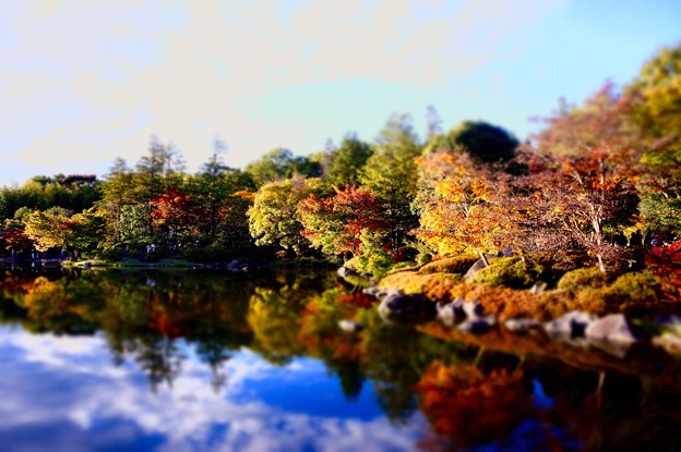 ミニチュア風な風景 昭和記念公園の日本庭園 写真共有サイト フォト蔵