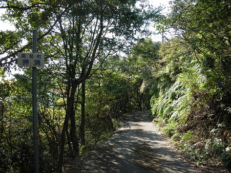 R260旧道・三浦峠2