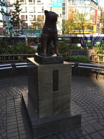 IMG_1410