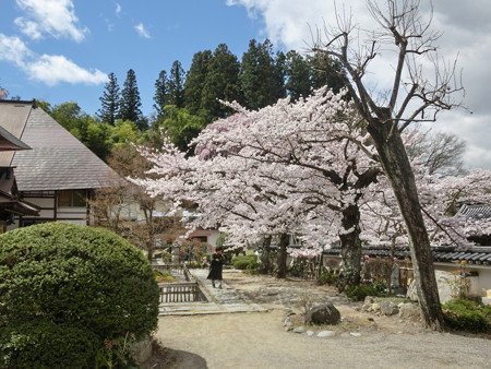CIMG0724