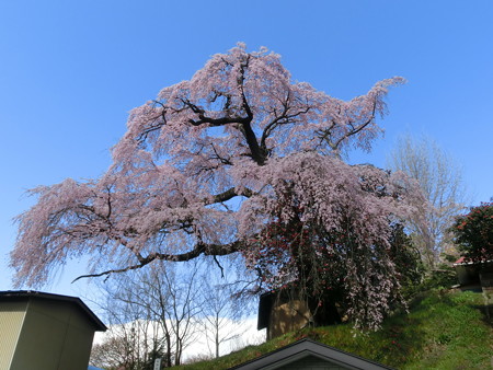 CIMG0706