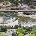 Photos: 阿蘇中岳噴火後の水の枯渇 2015年春