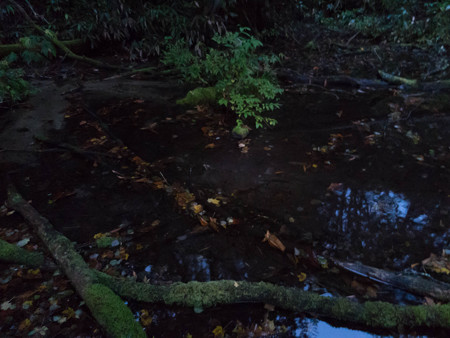 20141004_053337_Canon S120