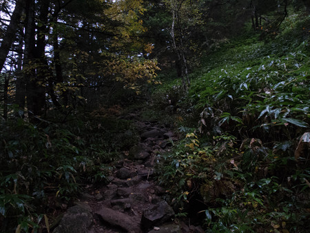 20141004_061731_Canon S120