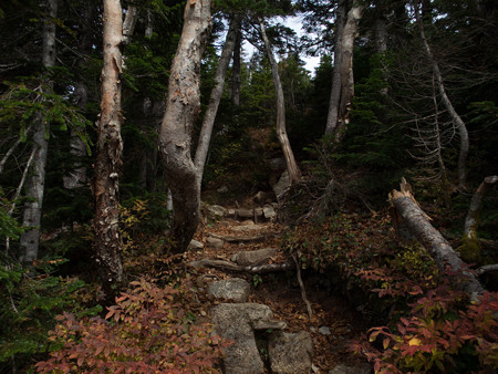 20141004_110126_Canon S120