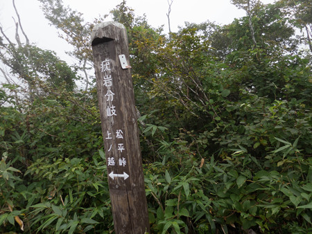 20140914_100739_Canon S120