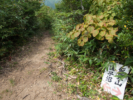 20140915_113959_Canon S120
