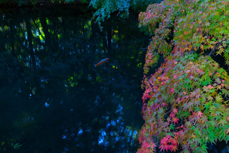 20141018_132747_Canon EOS M 雲場池