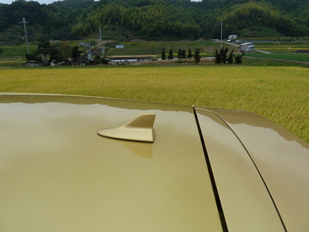 20151011_CT (2)