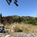 「沖ノ山スギのふる里公園」から望む東山