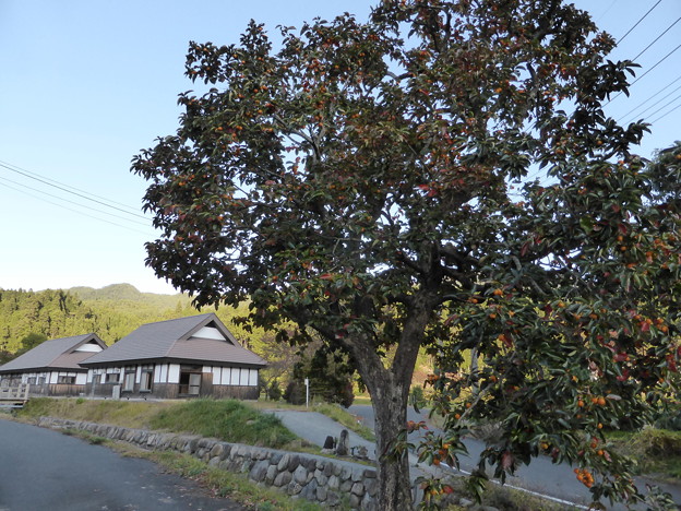 耕心村2号棟と3号棟