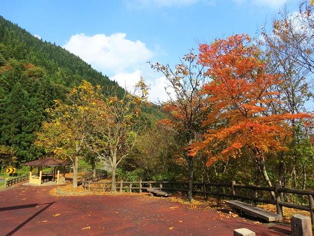 辰巳峠の栃原駐車場の紅葉