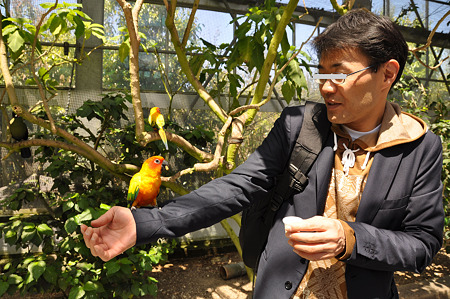 花鳥園