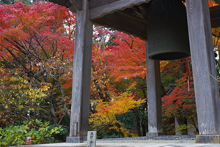 091129龍潭寺紅葉02
