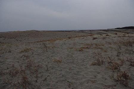 101128中田島砂丘02