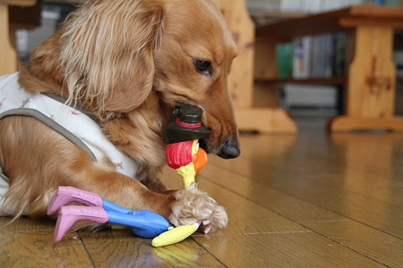 伸ばしながら噛む!