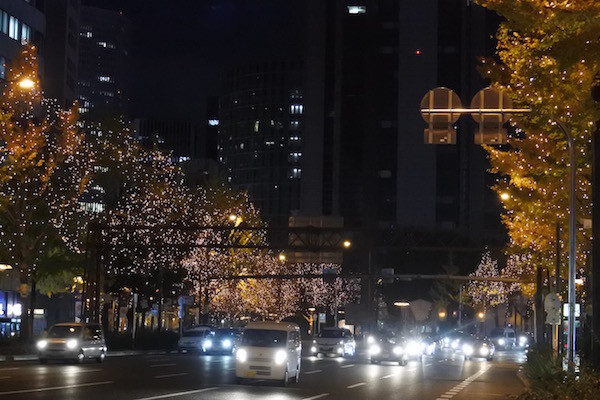 大通りの並木も綺麗に光り輝く 大通りの並木も綺麗に光り輝く