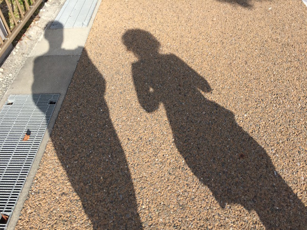 家内のペースに合わせて一緒に走ります