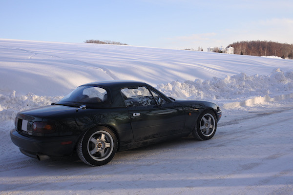 羊ヶ丘展望台に入った直後の景色にやられた。 羊ヶ丘展望台に入った直後の景色にやられた。