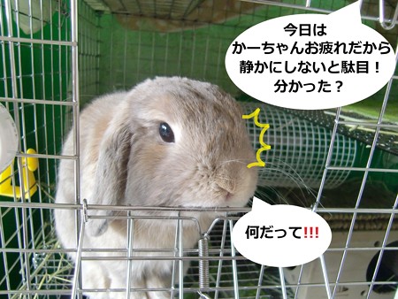 あ2