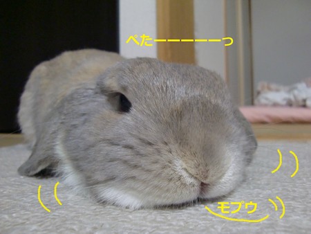 角5