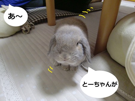 癒し2