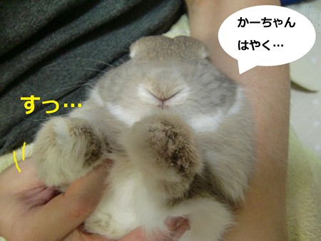 爪切り3
