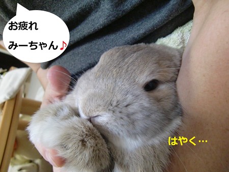 爪切り5