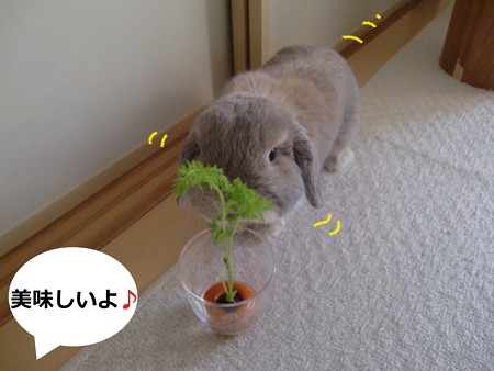 にんじん3