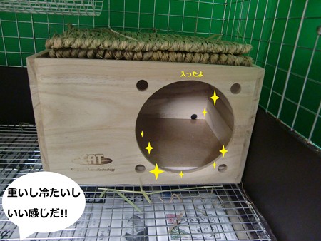 フルハウス3