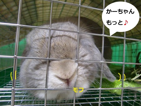 にんじん2