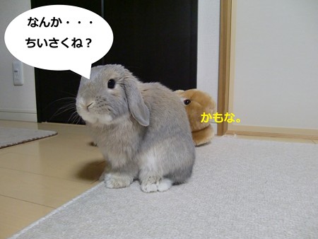 あ6